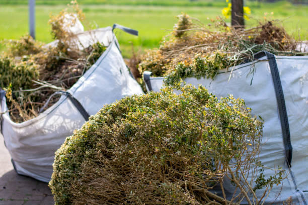 Best Junk Hauling Services  in Jemez Pueblo, NM